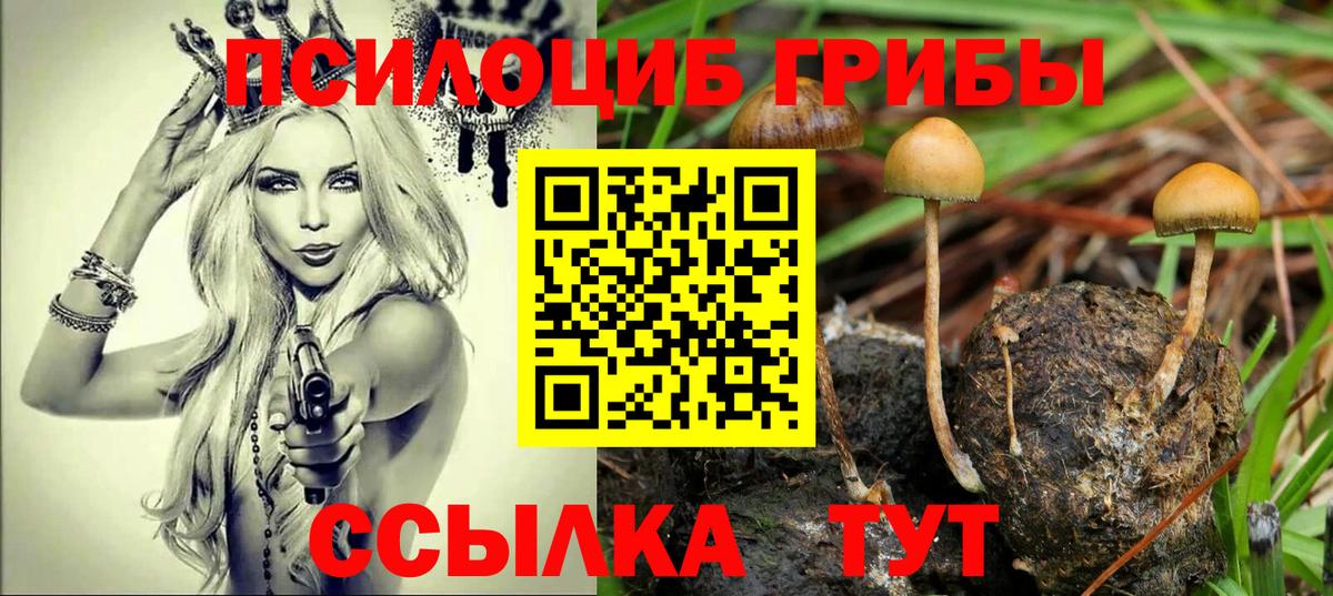 Галлюциногенные грибы Cubensis Печора