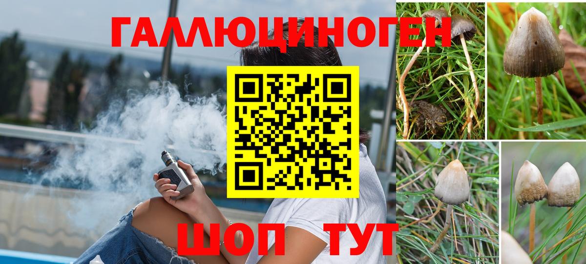 даркнет сайт  Псилоцибиновые грибы Magic Shrooms  Вход с VPN  Печора 